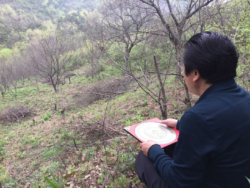 阴宅风水杨霁晖院长受邀清明墓地选址
